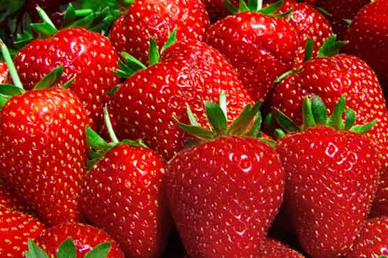 Eating strawberries may help prevent esophageal cancer