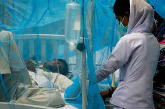 Dengue kills another 2, toll 42 in Lahore
