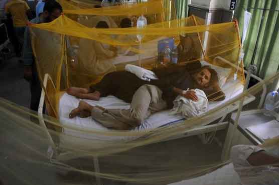 Number of dengue patients rises to 7,776 in Punjab