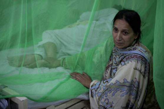 Sindh on dengue alert, swimming pools closed for 2 months