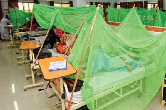 Dengue kills six more in Lahore