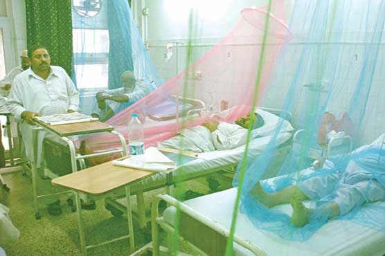 5 dengue patients dead, 126 dengue cases confirmed in KPK