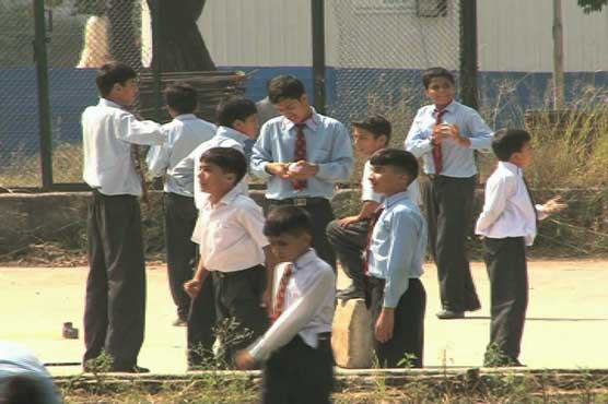 Islamabad: Dengue center sets up in Polyclinic