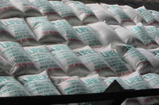 Fertilizers prices up due to cut in production