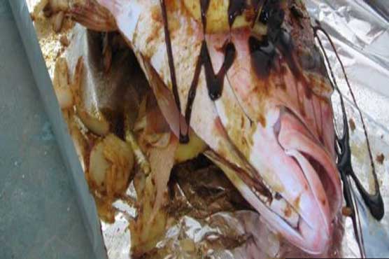 Bomb squad finds spicy fish in unclaimed luggage