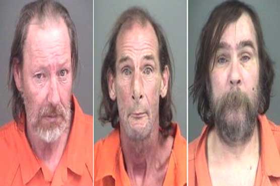 Stuffed gator thieves enter pleas