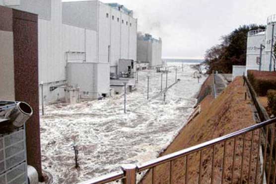 Japan tsunami was wake-up call for S. Asia: expert