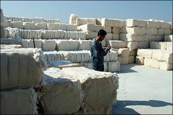 Cotton production record high