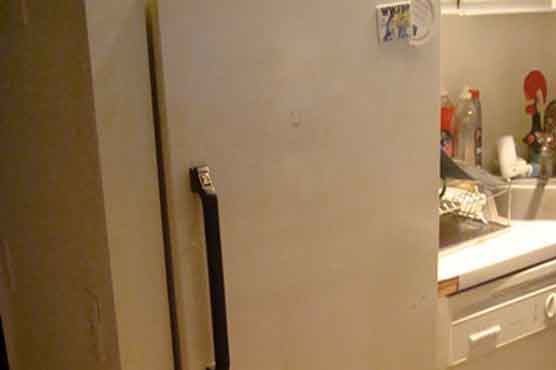 Russia: Mother kills child, keeps body in fridge for 5 years