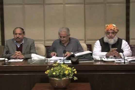 Raza Rabbani hails PML-N participation in PCNS