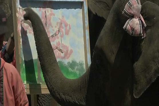 Japanese zoo creatures steal the show for Spring