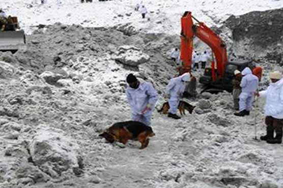 Siachen: Harsh weather hampers search efforts