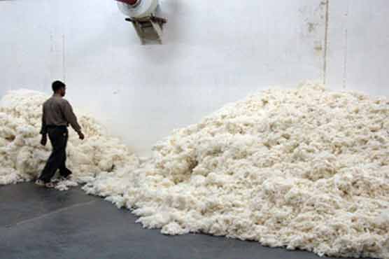 Cotton prices shoot up