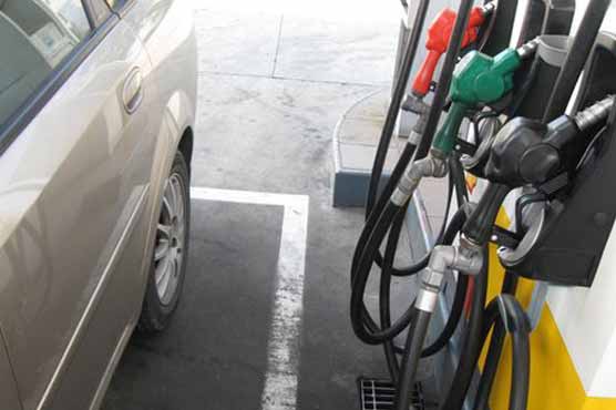 Oil hovers above $104 after US crude supply jump