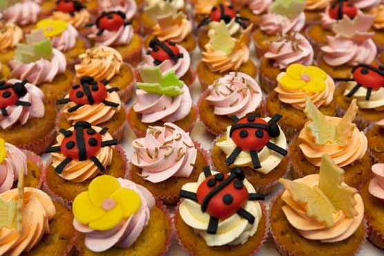 Dutch bug cookbook launched to stir taste for insects