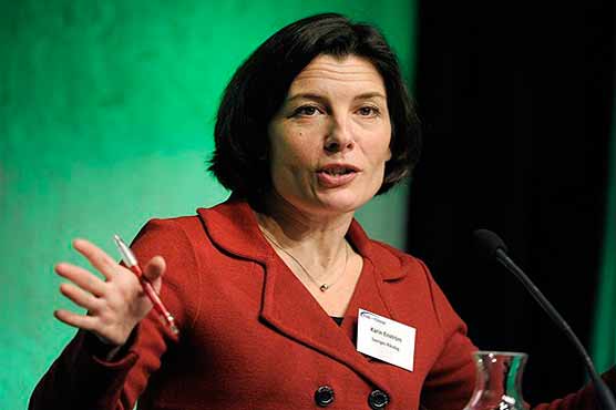 Sweden appoints new defence minister