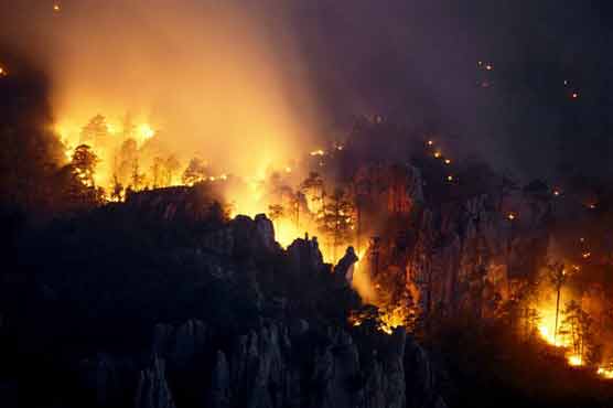Massive fires rage through Mexican forest
