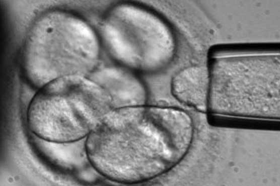 Stem cells blamed for cancer re-growth