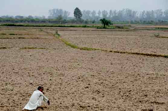 India's puny monsoon sparks fears of drought