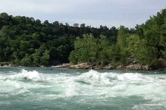 Men floating Alaska river save drowning bear