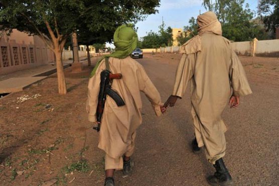 France to back African military intervention in Mali