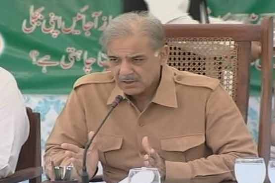 Power woes: Shahbaz says federal govt taking revenge