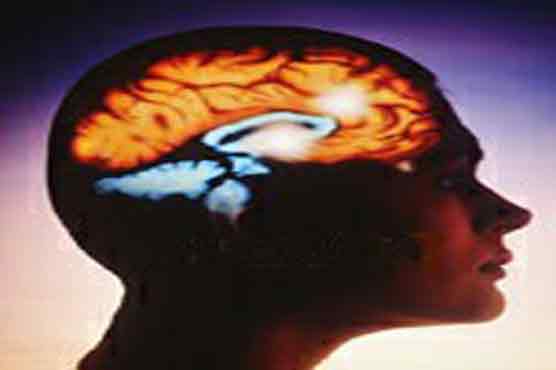 Intelligence depends on link between parts of brain