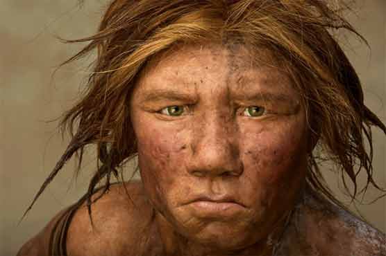 Neanderthals did not interbreed with humans 