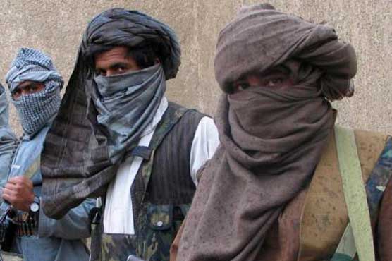 Key Taliban member calls for end to Afghan war 