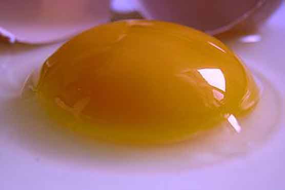 Intake of egg yolks can block arteries: Study