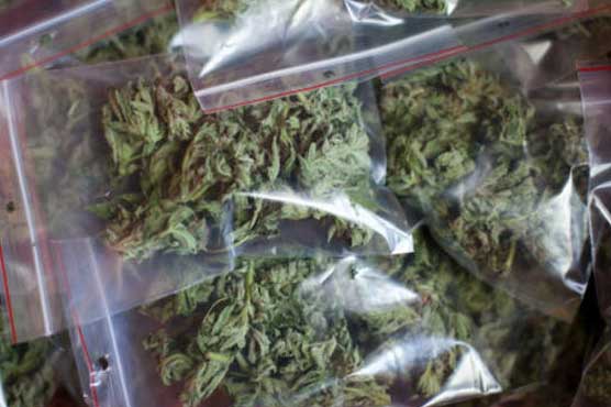 Man accused of stealing marijuana from police station