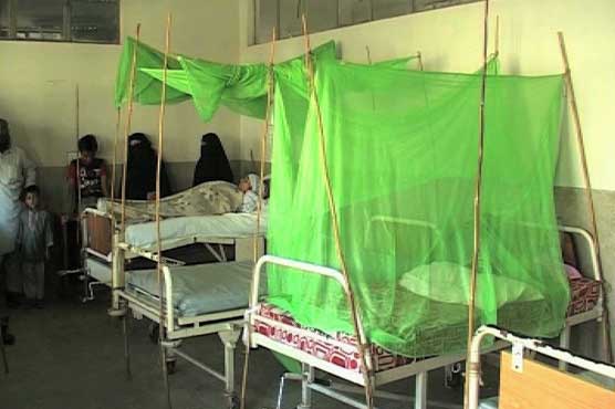 Two diagnosed with dengue in Punjab 