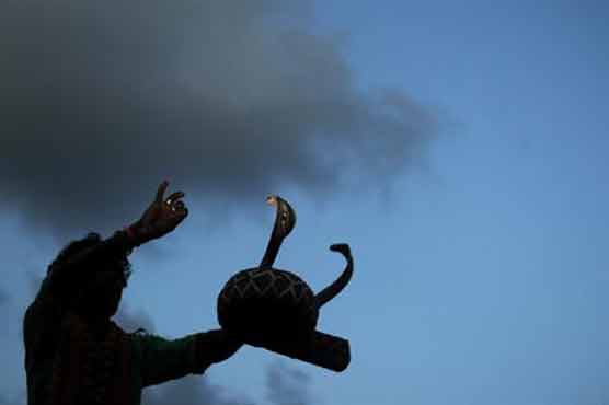 Man bitten by a cobra snake bit it back