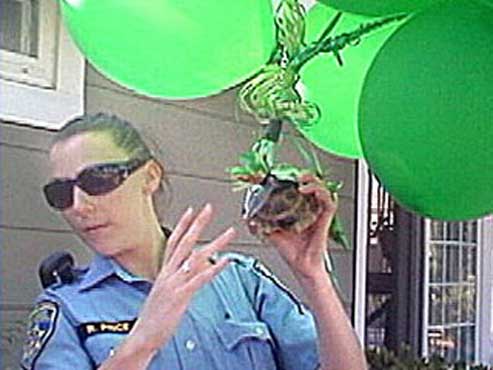 Turtle taped to balloons floats over city