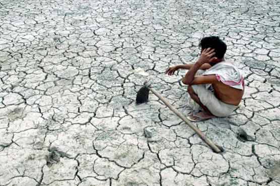 11 farmers commit suicide in Indian Gujarat 