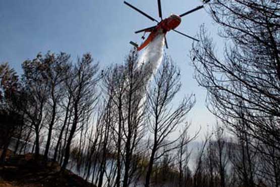 Forest fire near Athens under control 