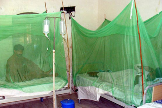 Lahore: Two more suffer from dengue fever, toll rises 17