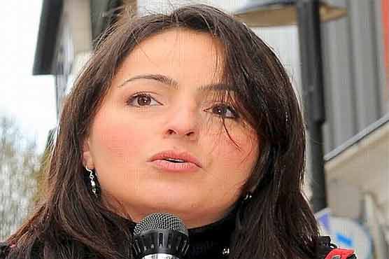 German MP to visit Assange at Ecuador's embassy