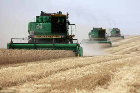  Russia denies wheat export ban