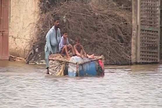 Afridi champions Pakistan flood victims