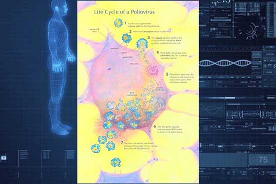 IMB recommends travel restrictions on Pakistan