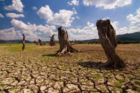 NGOs urge world to repair climate harm 