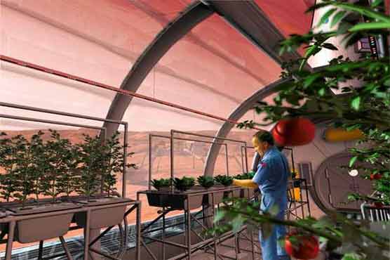 China prepare to grow vegetables on Mars