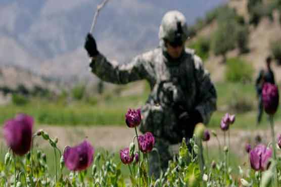 NATO, Russia train drug control officers 