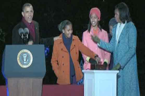 World's oldest, biggest trees dying: research 