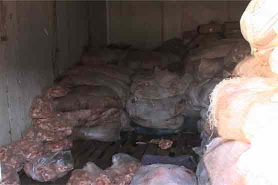 Peshawar: Two containers of dead chickens seized