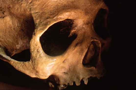 49 skulls found at Sri Lankan construction site