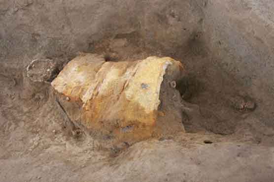 Remains of man in armour found at 'Pompeii of Japan'