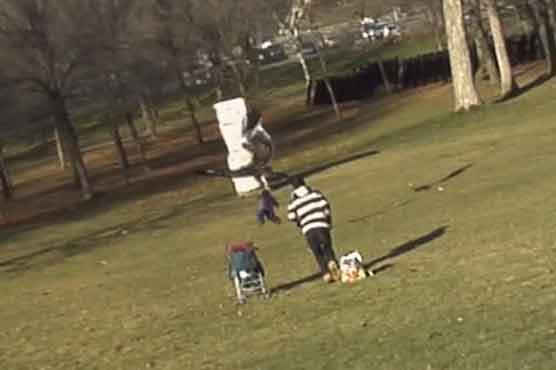 Golden eagle snatches child in YouTube video