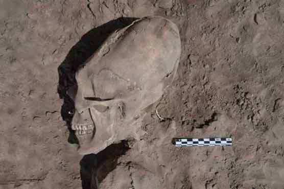 Alien-like skulls unearthed in 1,000-year-old cemetery